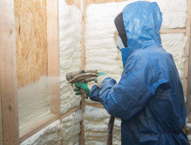 Best Vapor Barrier Installation  in Momence, IL